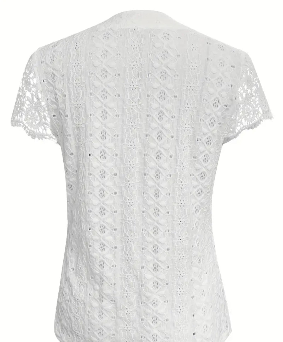 Solid Lace Splicing Notched Neck Top, Casual Eyelet Single Breasted Top For Spring & Summer, Women's Clothing