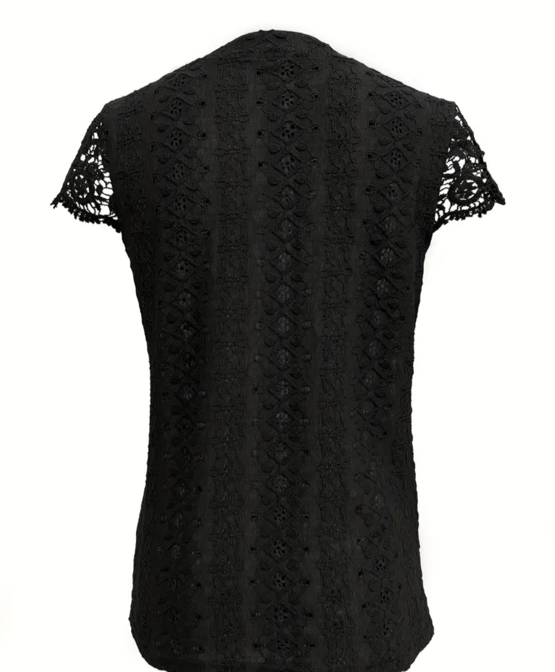 Solid Lace Splicing Notched Neck Top, Casual Eyelet Single Breasted Top For Spring & Summer, Women's Clothing