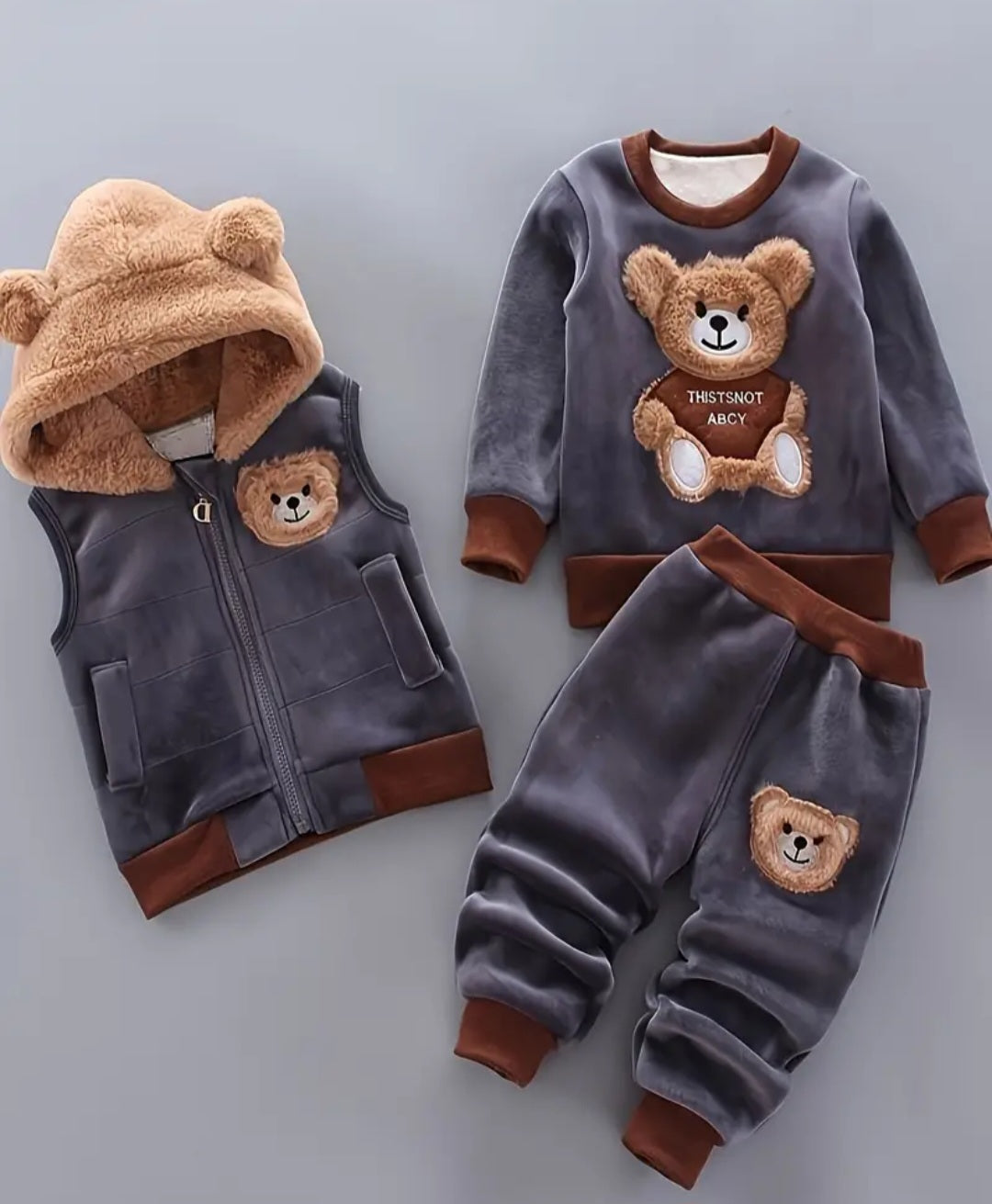 Baby's Animal Embroidered 2pcs Warm Fall Winter Outfit, Hooded Vest & Velvet Sweatshirt & Jogger Pants Set, Toddler & Infant Boy's Clothes