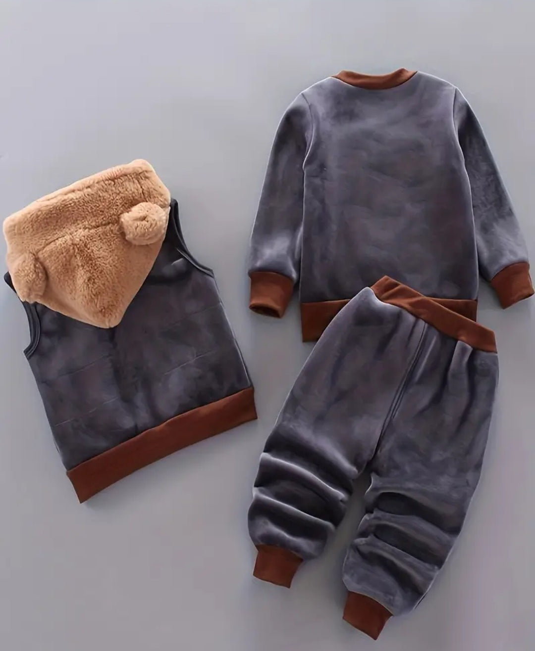 Baby's Animal Embroidered 2pcs Warm Fall Winter Outfit, Hooded Vest & Velvet Sweatshirt & Jogger Pants Set, Toddler & Infant Boy's Clothes