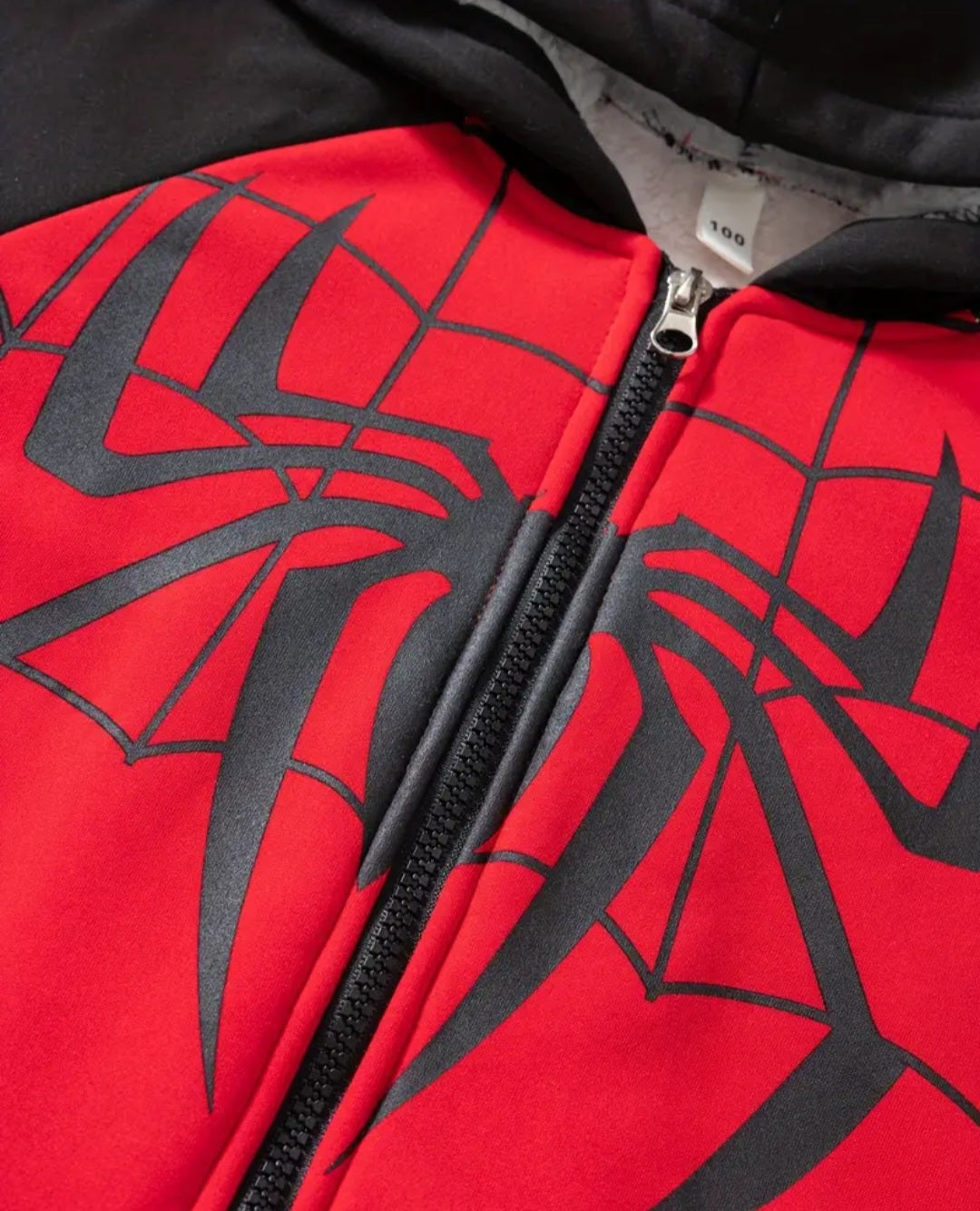 Spider Graphic Print, Boy's Fashion 2pcs Co Ord Set, Comfy Long Sleeve Fleece Zip-up Hoodie & Elastic Waistband Sweatpants, Loose Fit, Autumn And winter outfits